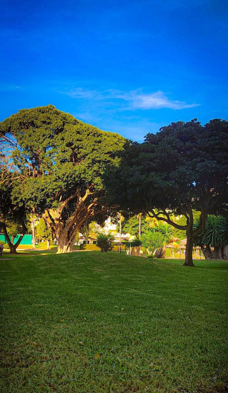 Kaizen. Terraza, Piscinas, Playa A 5 Minutos. Apartment เบนัลมาเดนา ภายนอก รูปภาพ